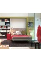 ITEM: MB0222 Murphy Panel Bed with computer desktop and cabinet and wardrobe.(Full size)